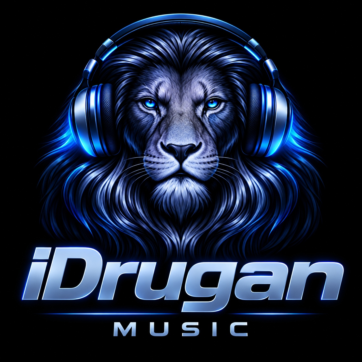 Logo iDrugan Music